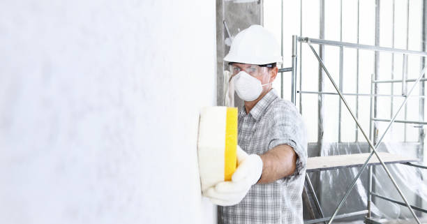 Best Mold Remediation for Vacation Homes  in Mauldin, SC